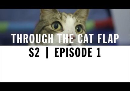 Through The Cat Flap – Documentary Series