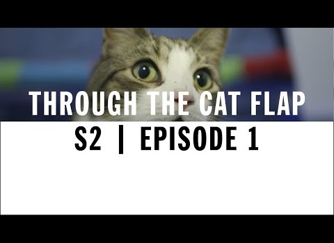 Through The Cat Flap – Documentary Series